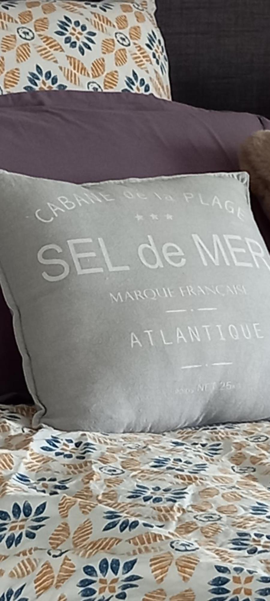 La Mesonnetta Bed & Breakfast Soulignonne Luaran gambar