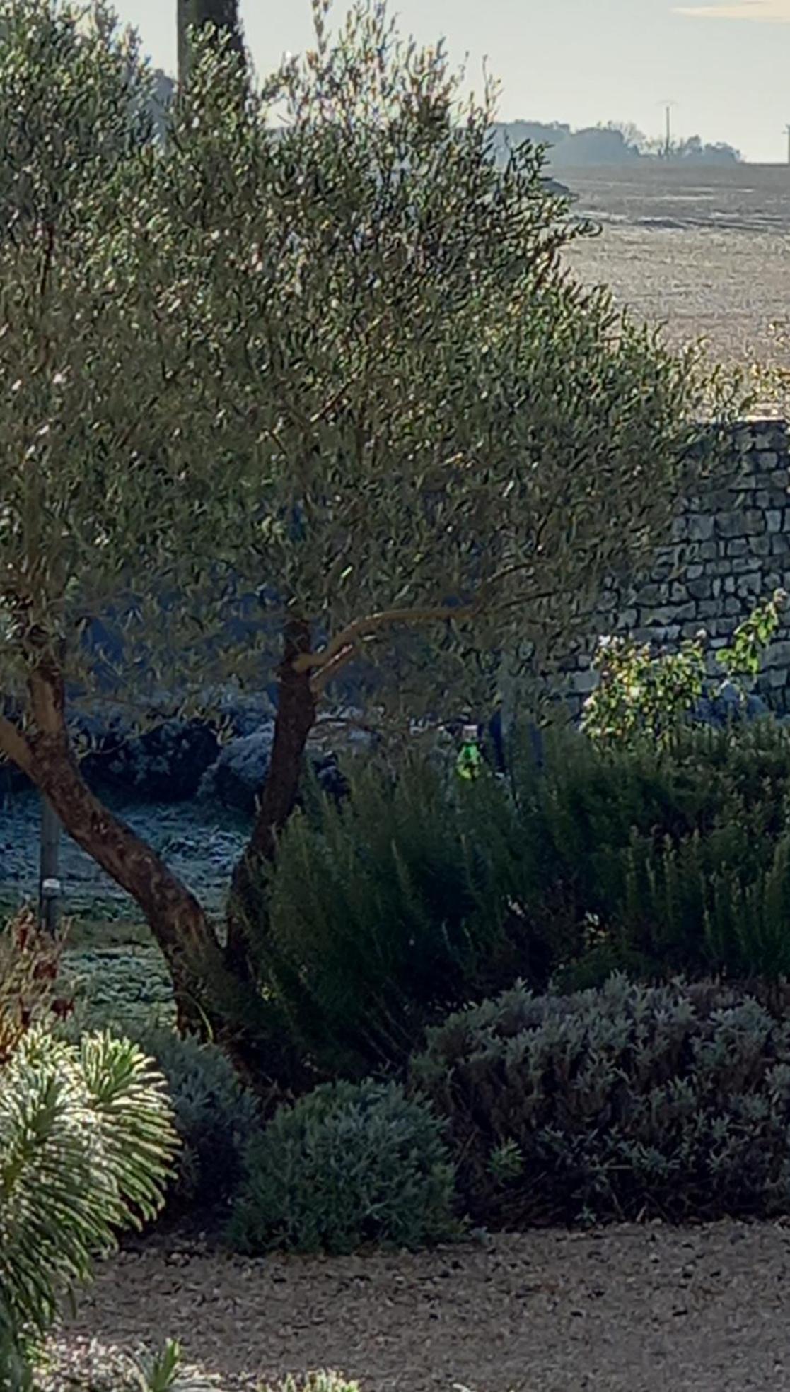 La Mesonnetta Bed & Breakfast Soulignonne Luaran gambar